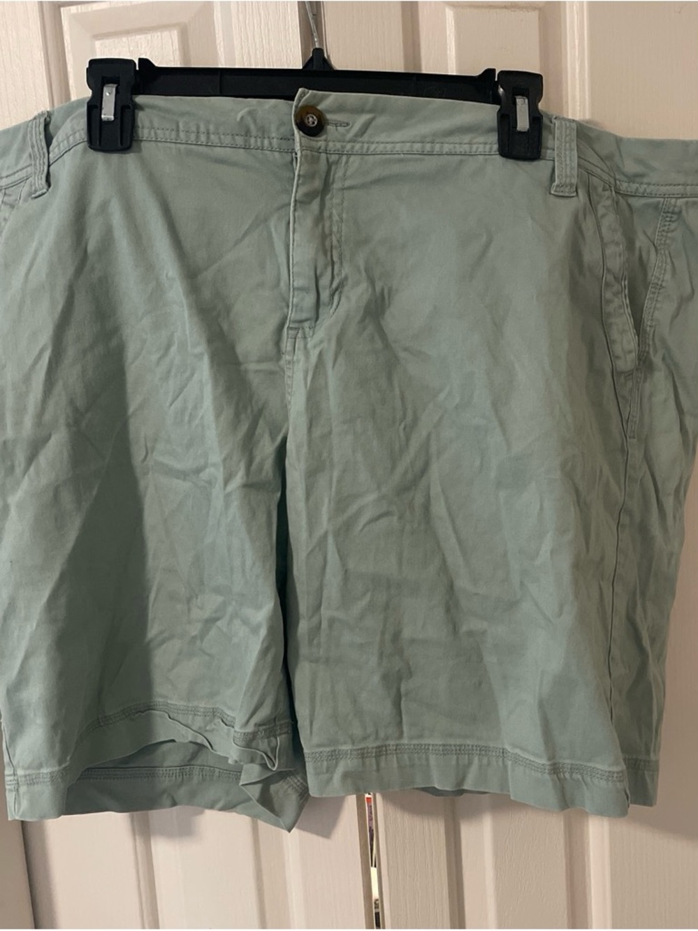 BKE Men's Sage Green Flat Front Shorts